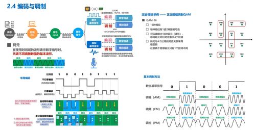 計算機網絡基礎與網站設計實踐 構建高效、安全的互聯網應用