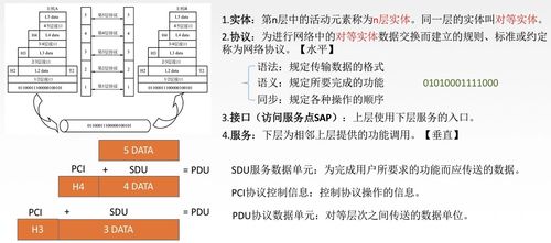 計算機網絡與網站設計 構建數字世界的基石