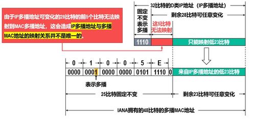 計(jì)算機(jī)網(wǎng)絡(luò)核心 深入剖析網(wǎng)絡(luò)層